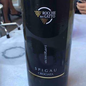 spigau - Le Rocche del Gatto - fausto-de-andreis-ns