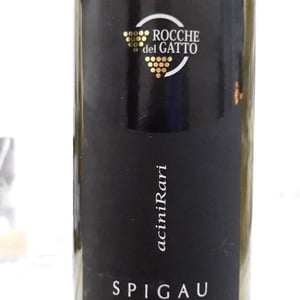 spigau - Le Rocche del Gatto - Fausto De Andreis 