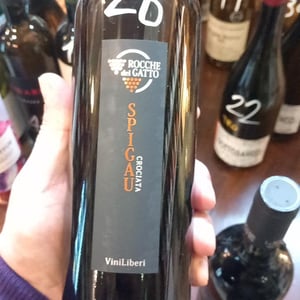 spigau - Le Rocche del Gatto - Fausto De Andreis 