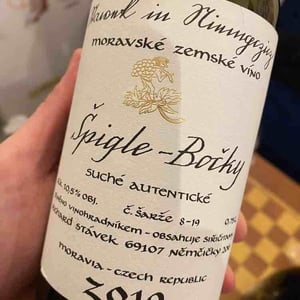 Spigle-Bocky - Richard Stavek - Richard Stavek 