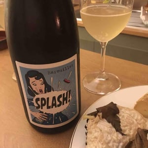 Splash! 2016