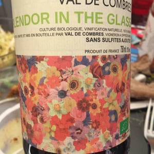 Splendor In The Glass - Val de Combrès - Valentin L. 