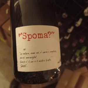 "Spoma?" - Angol d'Amig - marco-lanzotti