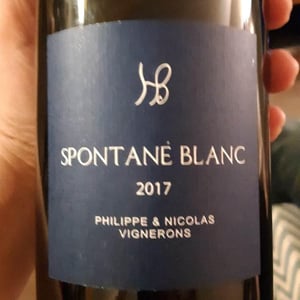 Spontané Blanc - Les Hauts Baigneux - nicolas-grosbois-philippe-mesnier