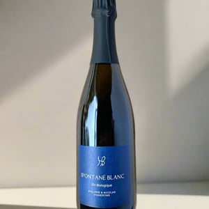 Spontané Blanc - Les Hauts Baigneux - nicolas-grosbois-philippe-mesnier