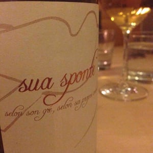 Sua Sponte - Elian Da Ros - Sandrine et Elian Da Ros 