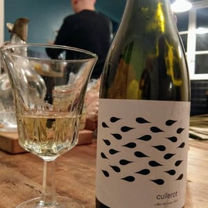 Cullerot - Les Alcusses - Celler del Roure - pablo-calatayud -2021