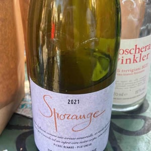 Sporange - Domaine Blanc Plume - raphael-colin