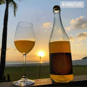 Spring Chenin - Jauma Wine - Denise & James Erskine 