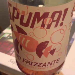 Spuma! - Podere Cipolla - Denny Bini 