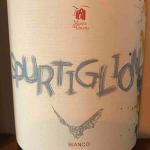 Spurtiglione - Monte di Grazia , Tramonti , (SA) , Campania , ITALIA - Alfonso Arpino -2018