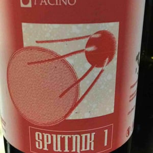 Sputnik 1 - L'Acino - Dino Briglio Nigro 