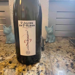 St Julien en St Alban - Domaine Eric Texier - Laurence et Eric Texier 