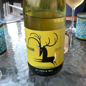 St-Pépin No2 - Domaine Oak Hill - louise-macdonald-sylvain-lalonde