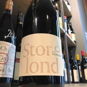 Sterlond - Tröpfltalhof - Andreas Tröpfltal -2019