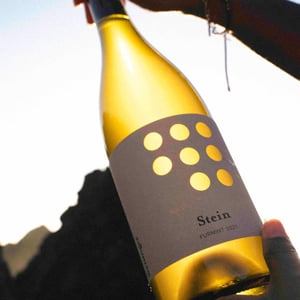 Steiner Furmint - Weingut Weninger (Austria) / Weninger Pincészet (Hungary) - franz-weninger