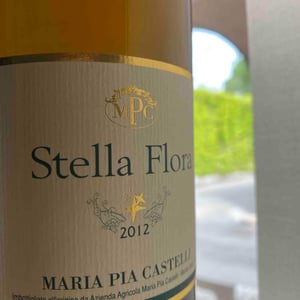 Stella Flora - Azienda Agricola Maria Pia Castelli - Maria Pia Castelli 