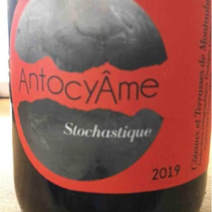 Stochastique - AntocyÂme - muriel-zoldan