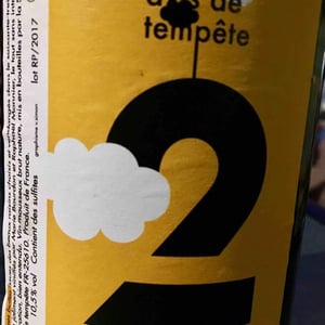 Avis De Tempete 2 - Avis de Tempête - Marie Bourdon & Raphael Monnier 