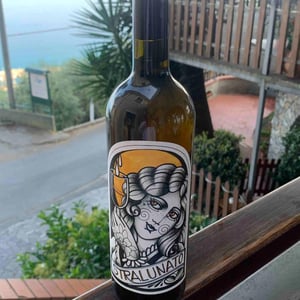 Azienda Agricola Il Torchio - Gilda Musetti & Edoardo Musetti - Stralunato