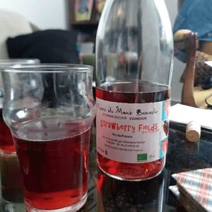 Strawberry Fields - Ferme du Mont Benault - stephane-rocher