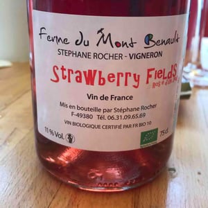 Strawberry Fields - Ferme du Mont Benault - Stéphane Rocher 