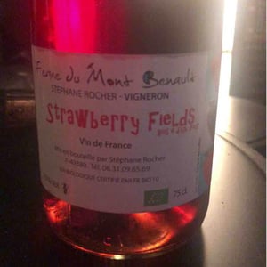 Strawberry Fields - Ferme du Mont Benault - Stéphane Rocher 