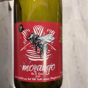 Morango - Tutti Frutti Ananas - Manuel di Vecchi-Staraz, Zé Carvalho & Joachim Roque 