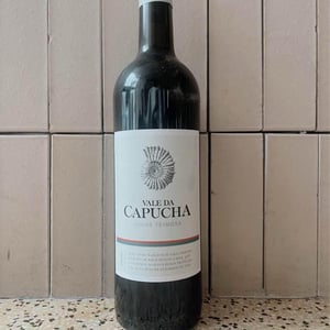 Vinha Teimosa - Vale da Capucha - pedro-marques