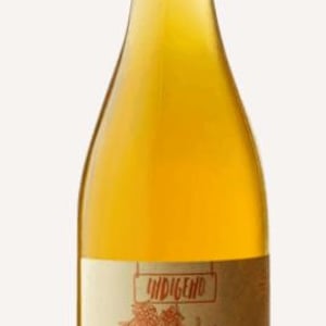 Sub Bianco - Cantina Indigeno (TEMPORARILY CLOSED) - alfredo-giugno-loreto-lamolinara-nicola-reginaldi