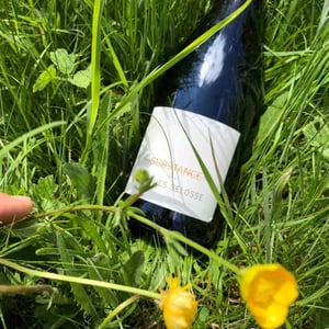 Substance - Champagne Jacques Selosse - anselme-selosse