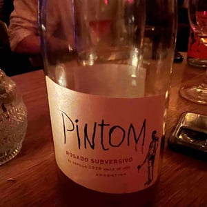 Pintom Pet Nat - Canopus - Canopus 