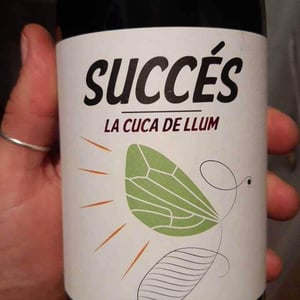 Succés - Conca De Barberà - la-cuba-de-llum