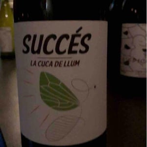 Succés - Conca De Barberà - La Cuba De Llum 