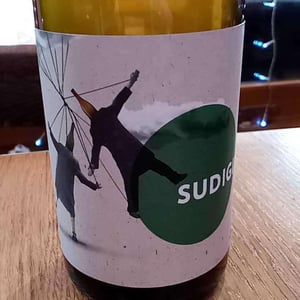 Villa Job - Alessandro Job - Sudigiri