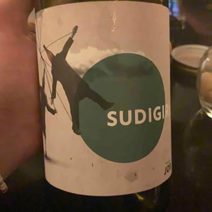 Sudigiri - Villa Job - Alessandro Job 