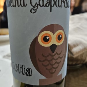 Suetta - Cascina Gasparda - Roberto & Mauro Salvaneschi 