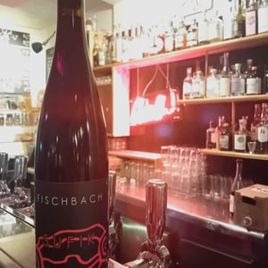 SuffHic! Rouge - Domaine Fischbach - Jean Dreyfuss -2022