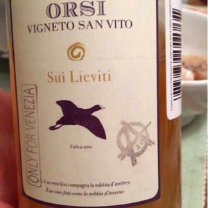 Sui Lieviti A - Orsi Vigneto San Vito - federico-orsi