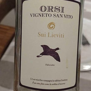 Sui Lieviti A