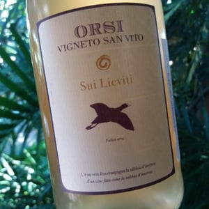 Orsi Vigneto San Vito - Federico Orsi - Sui Lieviti