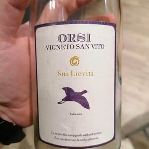 Sui Lieviti - Orsi Vigneto San Vito - Federico Orsi 