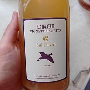 Sui Lieviti - Orsi Vigneto San Vito - federico-orsi