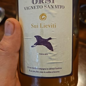 Sui Lieviti Vivace - Orsi Vigneto San Vito - Federico Orsi 