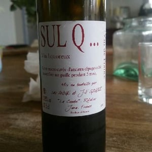 Sul Q 2010