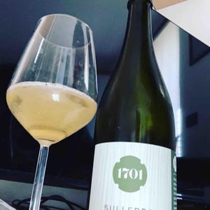 1701 Sullerba - 1701 Franciacorta - silvia-federico-stefini