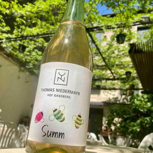 Summ - Thomas Niedermayr – Hof Gandberg - thomas-niedermayr