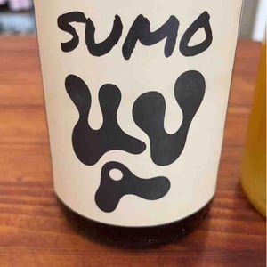Sumo - Les Volatiles - Chai Uva - mathilde-bayle-pablo-siranossian