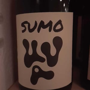 Sumo - Les Volatiles - Chai Uva - mathilde-bayle-pablo-siranossian