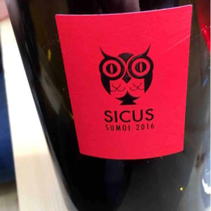 Sumoi - Sicus - Eduard Pié 